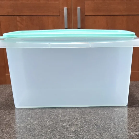 Tupperware Small Carryall - Picture 2 of 4